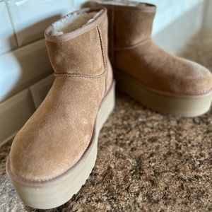 Brand new platform Uggs , never worn